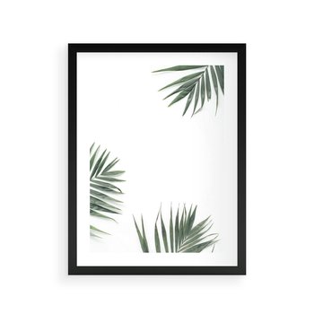 Plakat w ramie 30x40 - Liście Palmy na Czystym Tle - liście palmy, białe tło - rama czarna