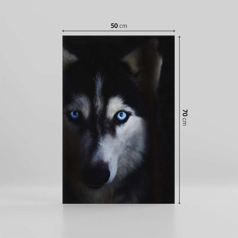 Obraz na płótnie 50x70 - Wilk i husky: siła przyjaźni - wilk, husky