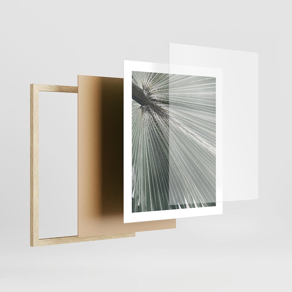 Plakat w ramie 40x50 - Jasnozielony Świat - palma, liść - rama drewno