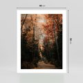 Plakat bez ramy 40x50 - Drzewa w Czerwonych Liściach - las, jesienny las