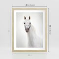 Plakat w ramie 40x50 - Elegancja białego konia - biały, koń - rama drewno