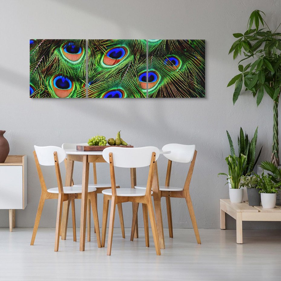Obraz na płótnie 120x40 - Pawi Ogon - Piękno i Wspaniałość - paw, pióra