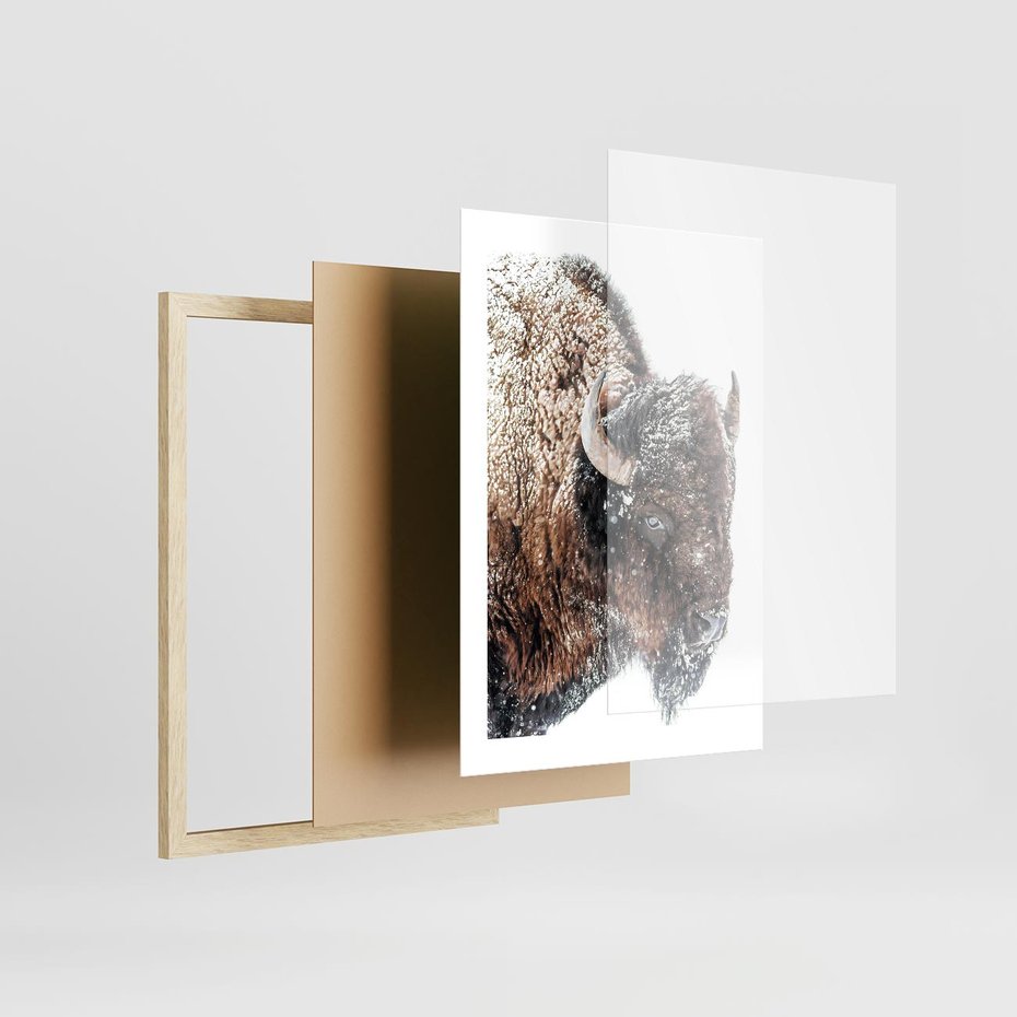 Plakat w ramie 30x40 - Obraz Dzikiej Przyrody w Śnieżnym Otoczeniu - żubr, śnieg - rama drewno