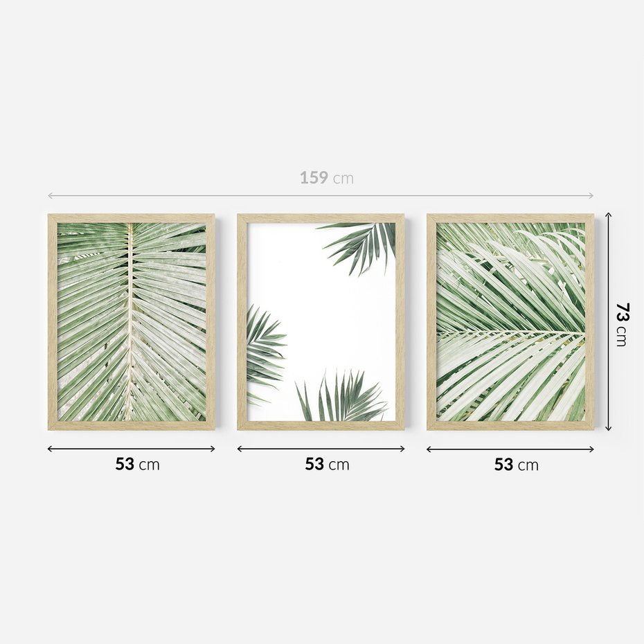 Zestaw obrazy w ramie 50x70 galeria - Liście, palma, tropikalne - rama drewno