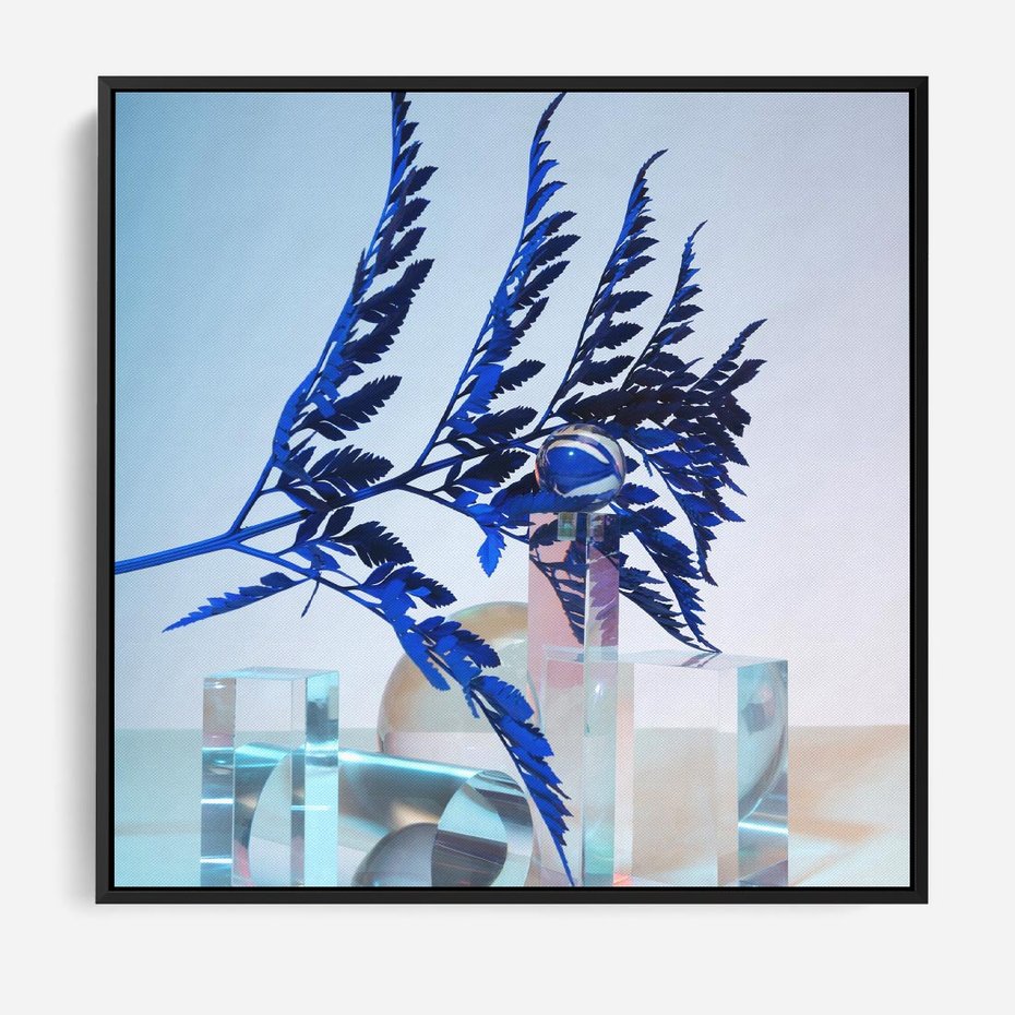 Obraz w ramie 50x50 - Intensywny Kolor Natury - liście, kobalt - rama czarna