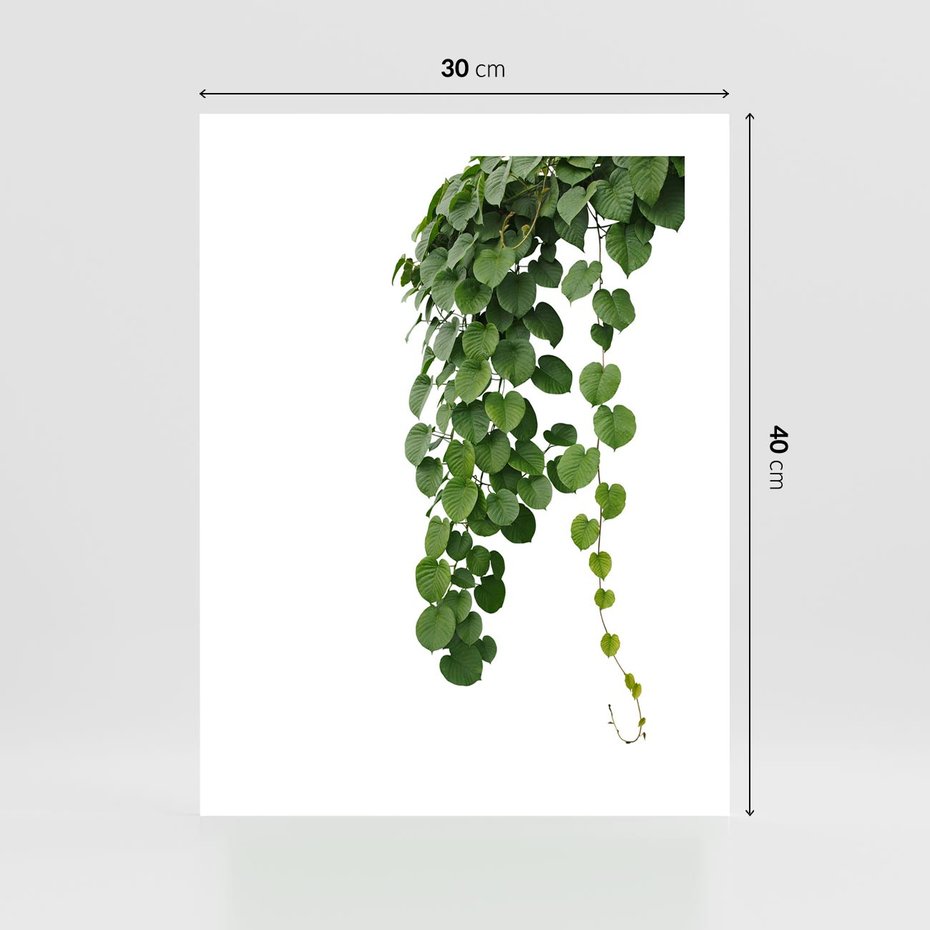 Plakat bez ramy 30x40 - Świeżość Natury - liście, zielone