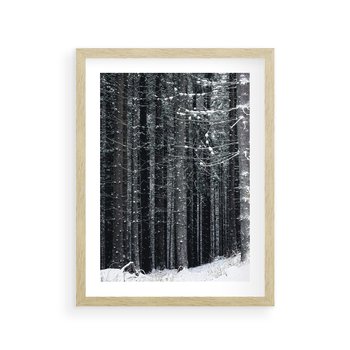 Plakat w ramie 30x40 - Leśna Cisza: Malowniczy Pejzaż Zimą - las zimą, ośnieżone pnie drzew - rama drewno