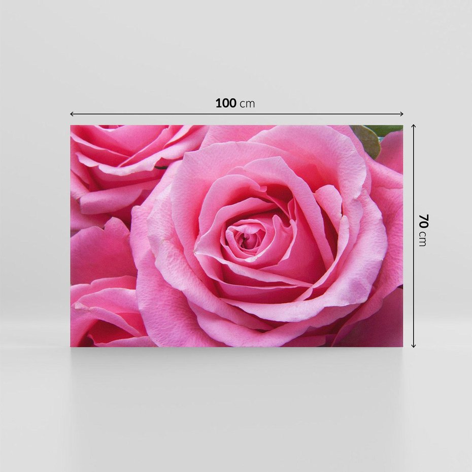 Obraz na płótnie 100x70 - Róża Wspaniałości - róża, kwiat