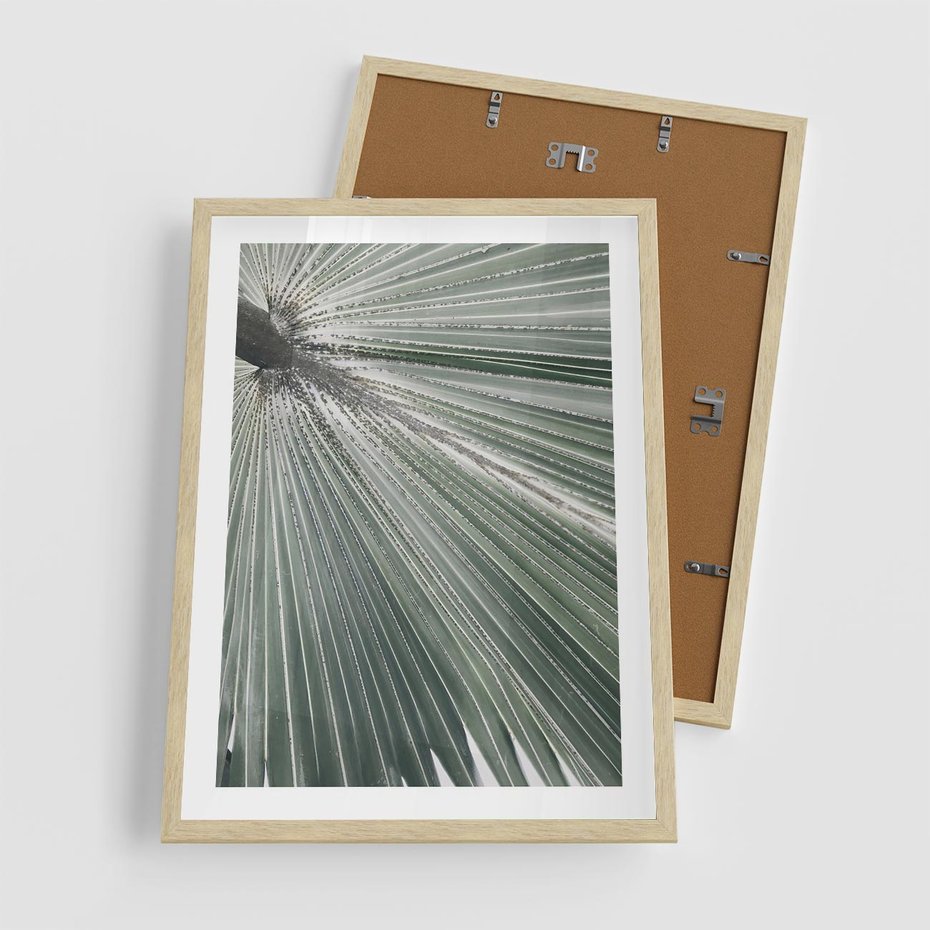 Plakat w ramie 50x70 - Jasnozielony Świat - palma, liść - rama drewno