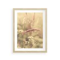 Plakat w ramie 30x40 - Boho Wizja - suszone, trawy - rama drewno