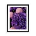 Plakat w ramie 40x50 - Fioletowa hortensja - kwiaty, hortensja - rama czarna