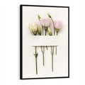 Obraz w ramie 50x70 - Białe kwiatowe uniesienia - białe, kwiaty - rama czarna