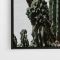 Obraz w ramie 50x50 - Boho oaza wśród kaktusów - kaktusy, pustynia - rama czarna