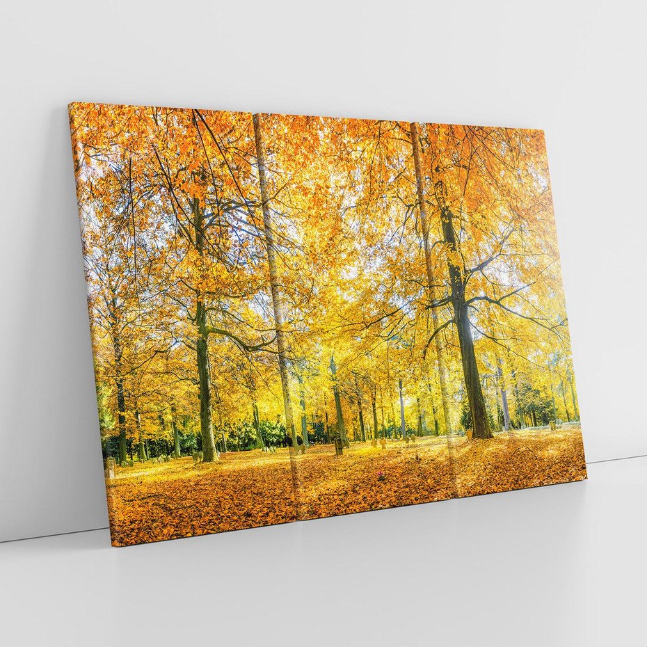 Obraz na płótnie 120x80 - Jesień w Lesie: Urok Lasu - jesień, las