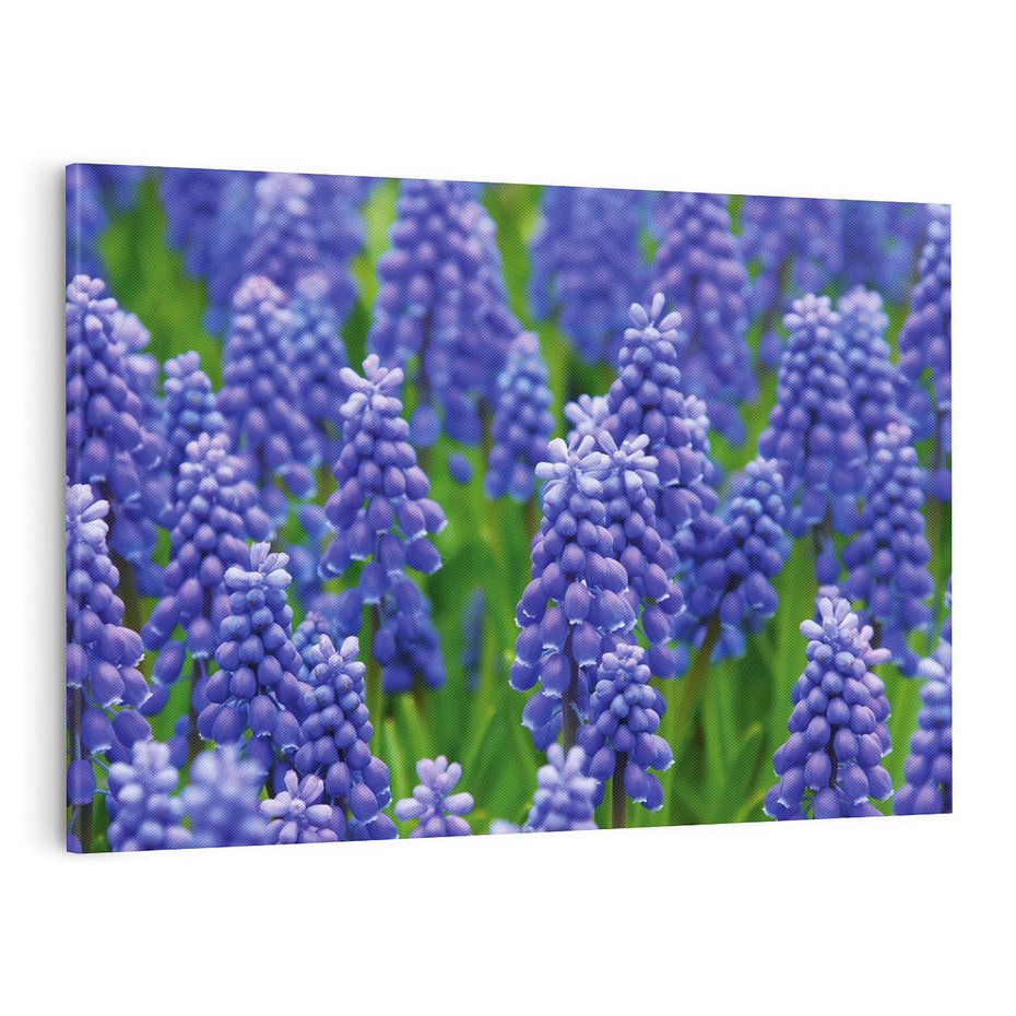 Obraz na płótnie 120x80 - Urok Lawendy - lawenda, kwiat