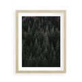Plakat w ramie 40x50 - Wysoko nad Iglastym Lasem - las, perspektywa - rama drewno