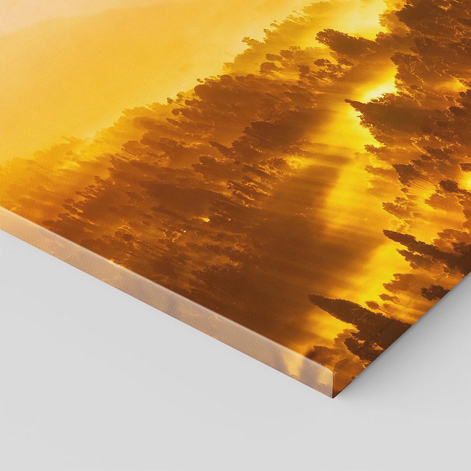 Obraz na płótnie 100x70 - Krajobraz leśny - las, drzewa