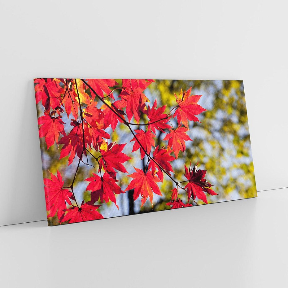 Obraz na płótnie 140x70 - Jesienny Urok Drzewa i Opadających Liści - drzewo, liście