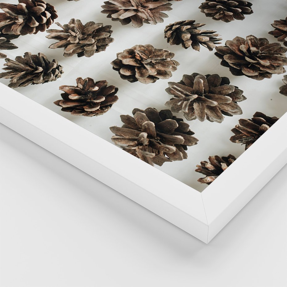 Zestaw obrazy w ramie 50x70 galeria - Zima, szyszki, śnieg - rama biała