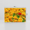 Obraz na płótnie 120x80 - kwiatowa elegancja - tulipany, kwiat