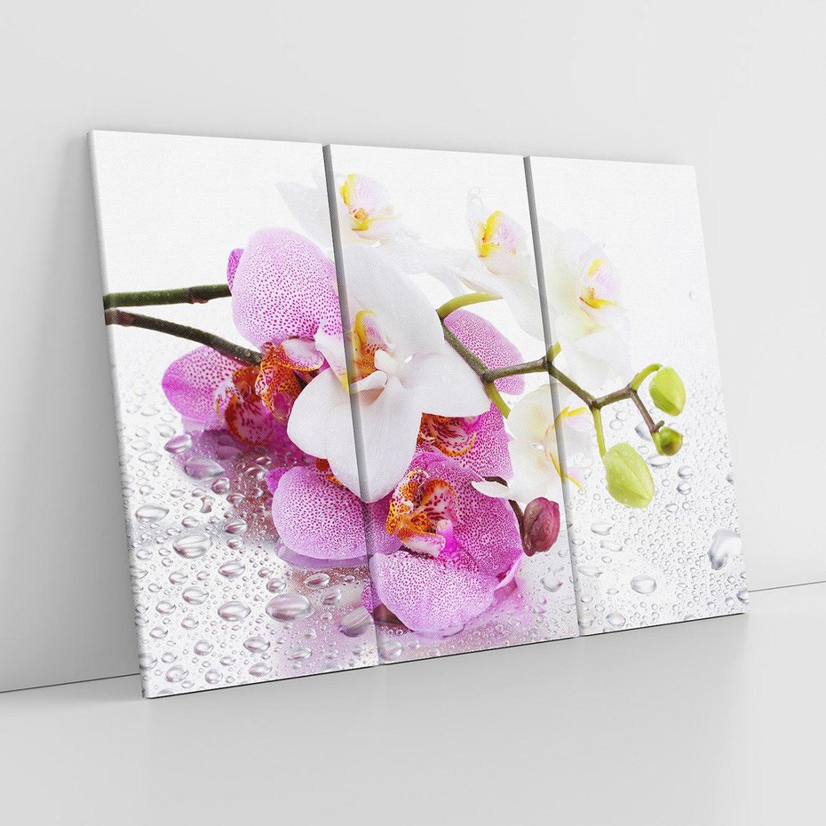 Obraz na płótnie 120x80 - Magia kwiatów - kwiaty