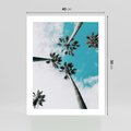 Plakat bez ramy 40x50 - Palmy w Gorącym Niebie - palmy, ujęcie z dołu