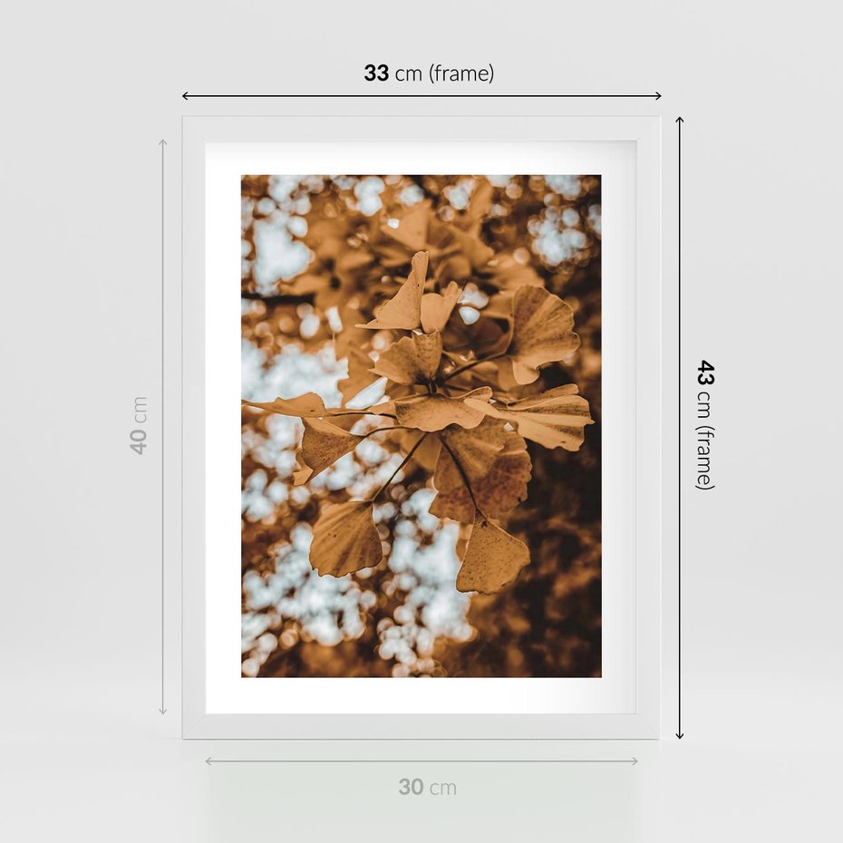 Plakat w ramie 30x40 - Nostalgiczny Miłorząb - miłorząb, liście - rama biała