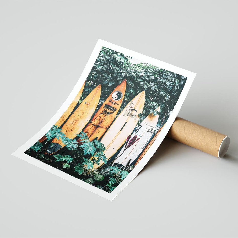 Plakat bez ramy 30x40 - Surfowanie w Harmonii z Naturą - deski surfingowe, oparte o rośliny