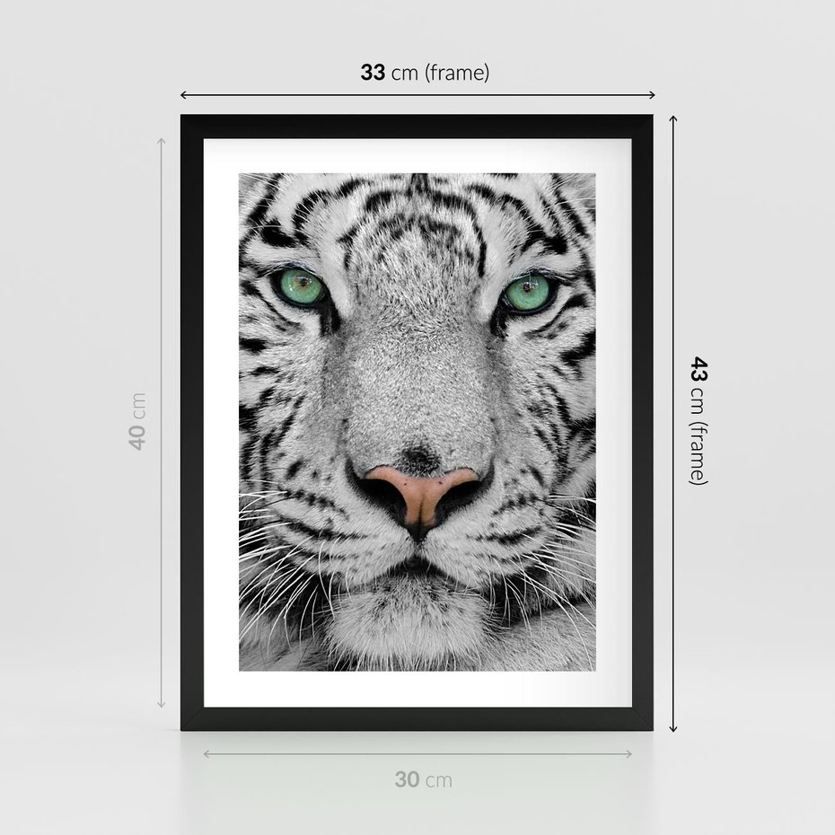 Plakat w ramie 30x40 - Magia Białego Tygrysa - biały, tygrys - rama czarna