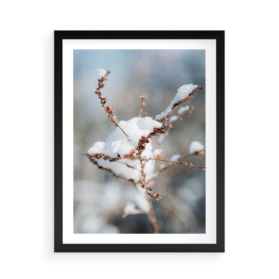 Plakat w ramie 50x70 - Zimowy Urok Natury - gałązki pod śniegiem, natura - rama czarna