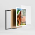 Plakat w ramie 50x70 - Elegancki wierzchowiec - koń, portret - rama czarna