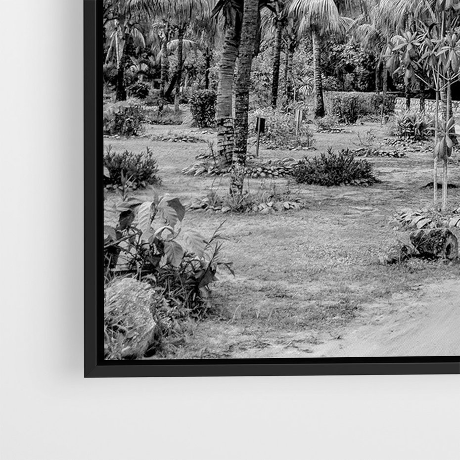 Obraz w ramie 70x100 - Mroczna Ścieżka Tropików - czarno biała fotografia, ścieżka pośród palm - rama czarna