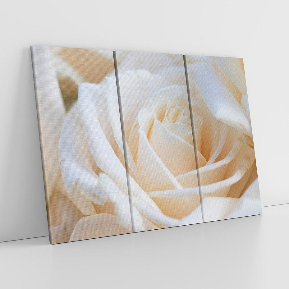 Obraz na płótnie 120x80 - Białe róże piękności - białe, róże