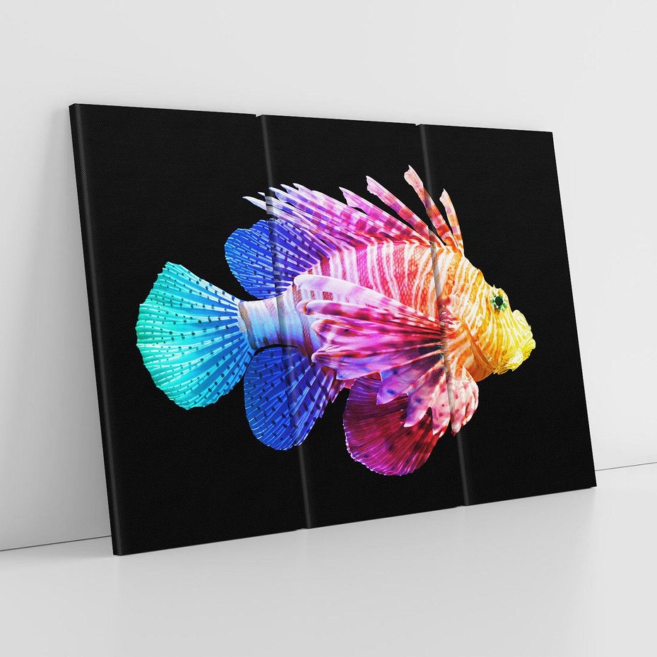 Obraz na płótnie 120x80 - Tęczowa Piękność - kolorowa tęczowa ryba, mocny akcent na czarnym tle