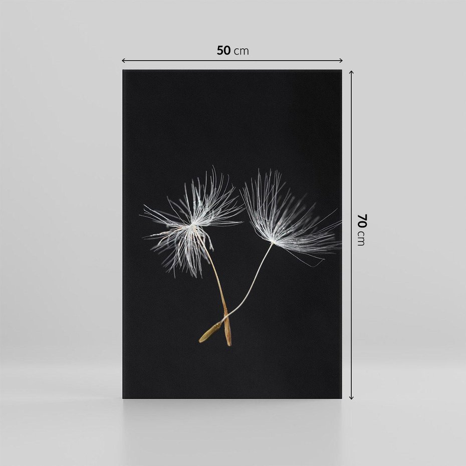 Obraz na płótnie 50x70 - Delikatność Wiatru - dmuchawce, makro