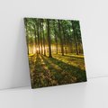 Obraz na płótnie 40x40 - Mistyfikujący urok leśnej głuszy - las, drzewa