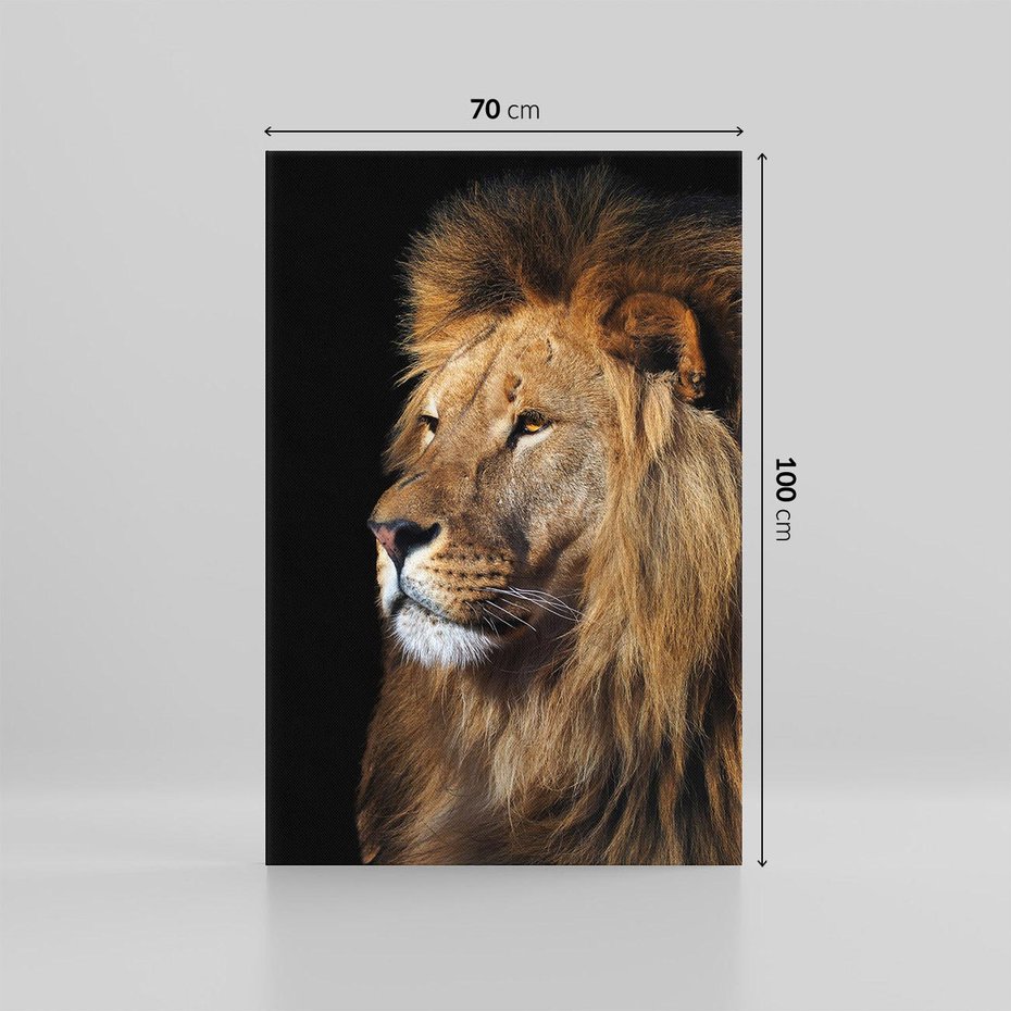 Obraz na płótnie 70x100 - Władca Dzikiej Przyrody - lew, król
