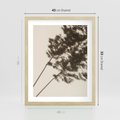 Plakat w ramie 40x50 - Tajemniczy Cień Traw - cień traw, na ścianie - rama drewno