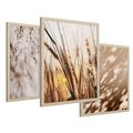 Zestaw obrazy w ramie 50x70 galeria - Trawy, zachód, słońca, cienie - rama drewno