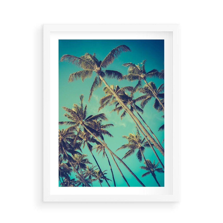 Plakat w ramie 50x70 - Tropikalne palmy w krainie słonecznych wakacji - palmy, tropiki - rama biała
