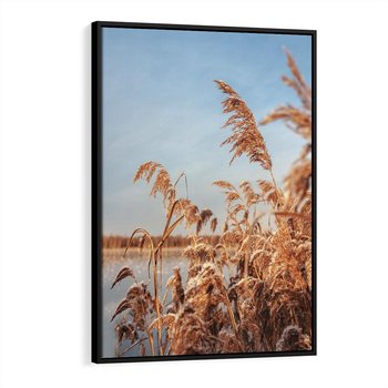 Obraz w ramie 50x70 - Wyraz Stylu - trawy, boho - rama czarna