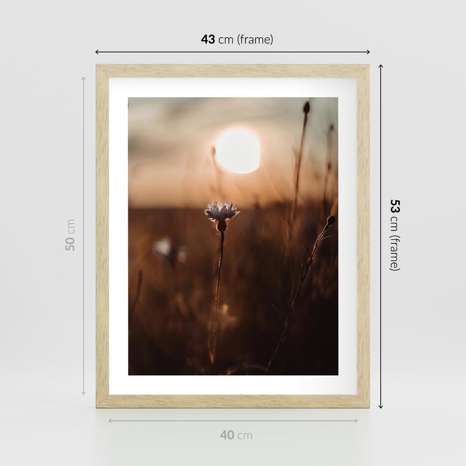 Plakat w ramie 40x50 - Spokój łąki pod zachodem słońca - zachód, słońca - rama drewno