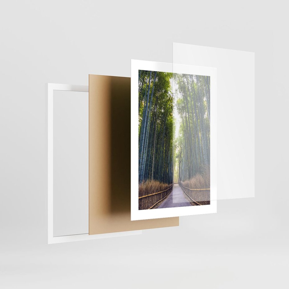 Plakat w ramie 30x40 - Urokliwa dróżka w lesie - las, dróżka - rama biała