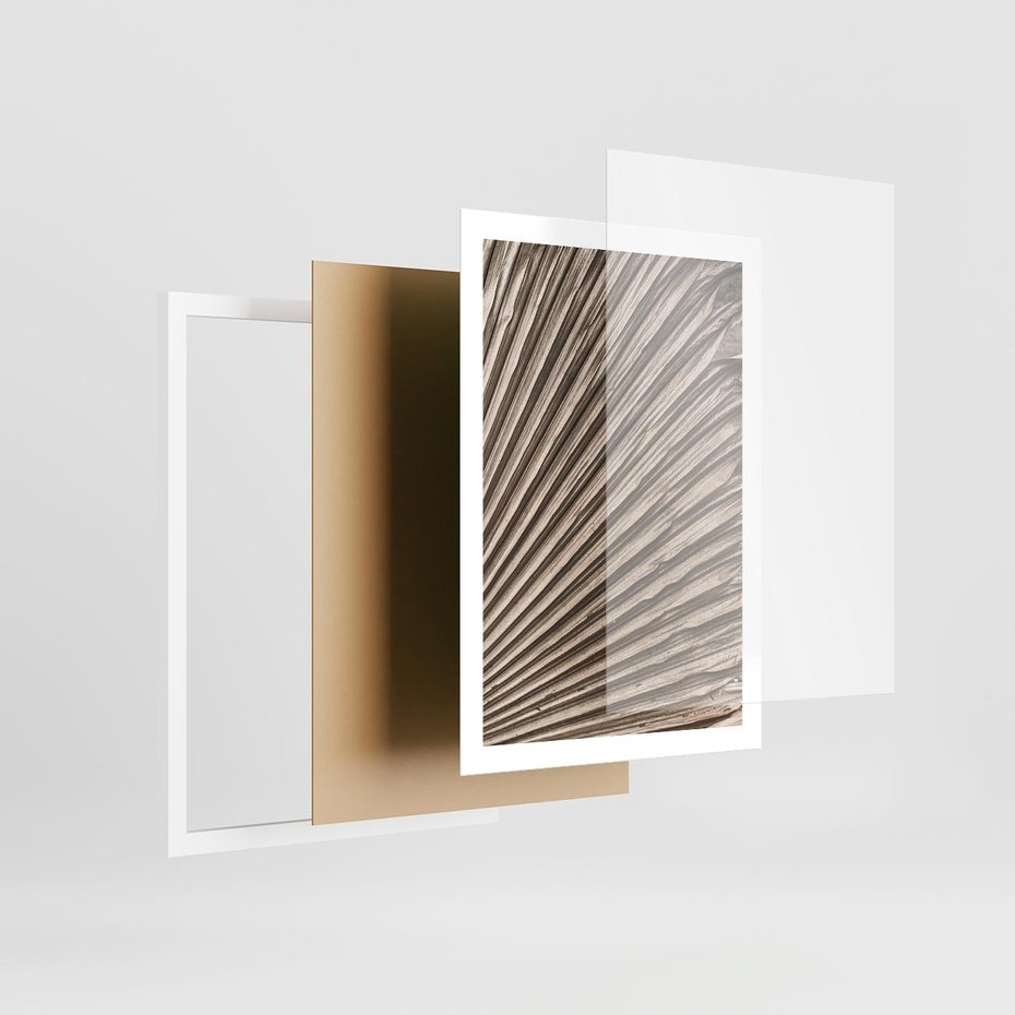 Plakat w ramie 50x70 - Liść Palmy w Wyjątkowej Kompozycji - suchy liść palmy, boho styl - rama biała