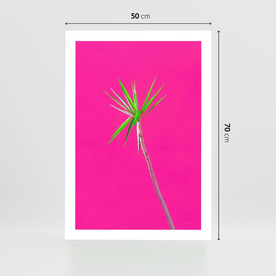 Plakat bez ramy 50x70 - Retro Stylizacja - palma, liście