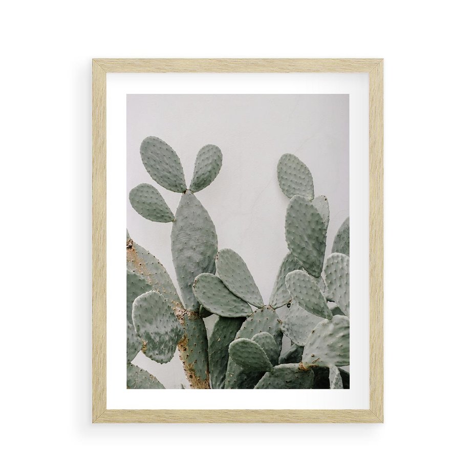 Plakat w ramie 40x50 - Imponujący Kaktus - duży kaktus, opuncja - rama drewno