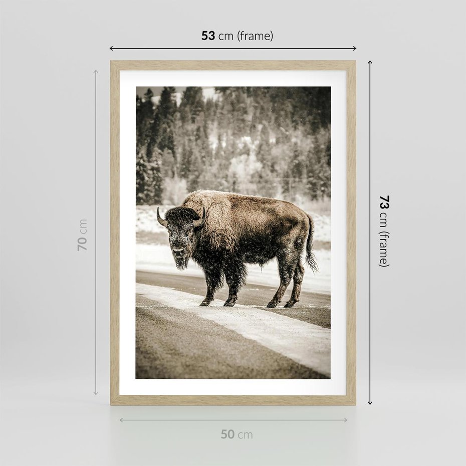 Plakat w ramie 50x70 - Spotkanie z Żubrem na Leśnej Drodze - żubr, las - rama drewno