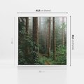 Obraz w ramie 80x80 - Mgliste Marzenia - artystyczna fotografia, las - rama biała