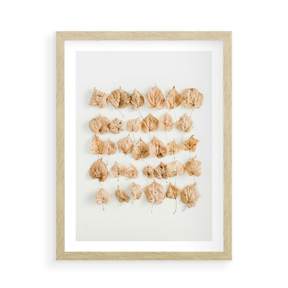Plakat w ramie 50x70 - Liście Złotego Sezonu - kompozycja z suchych żółtych liści - rama drewno