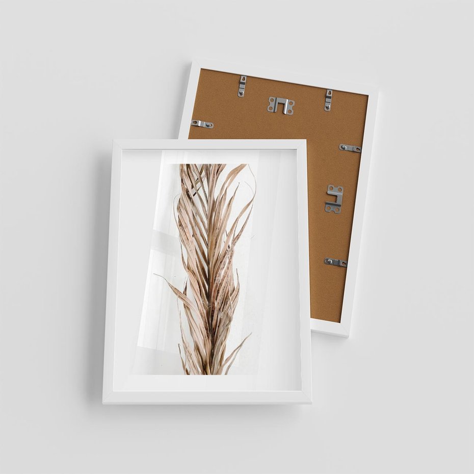 Plakat w ramie 30x40 - Minimalizm Palmowy: Sucha Uroda - sucha palma, minimalizm - rama biała